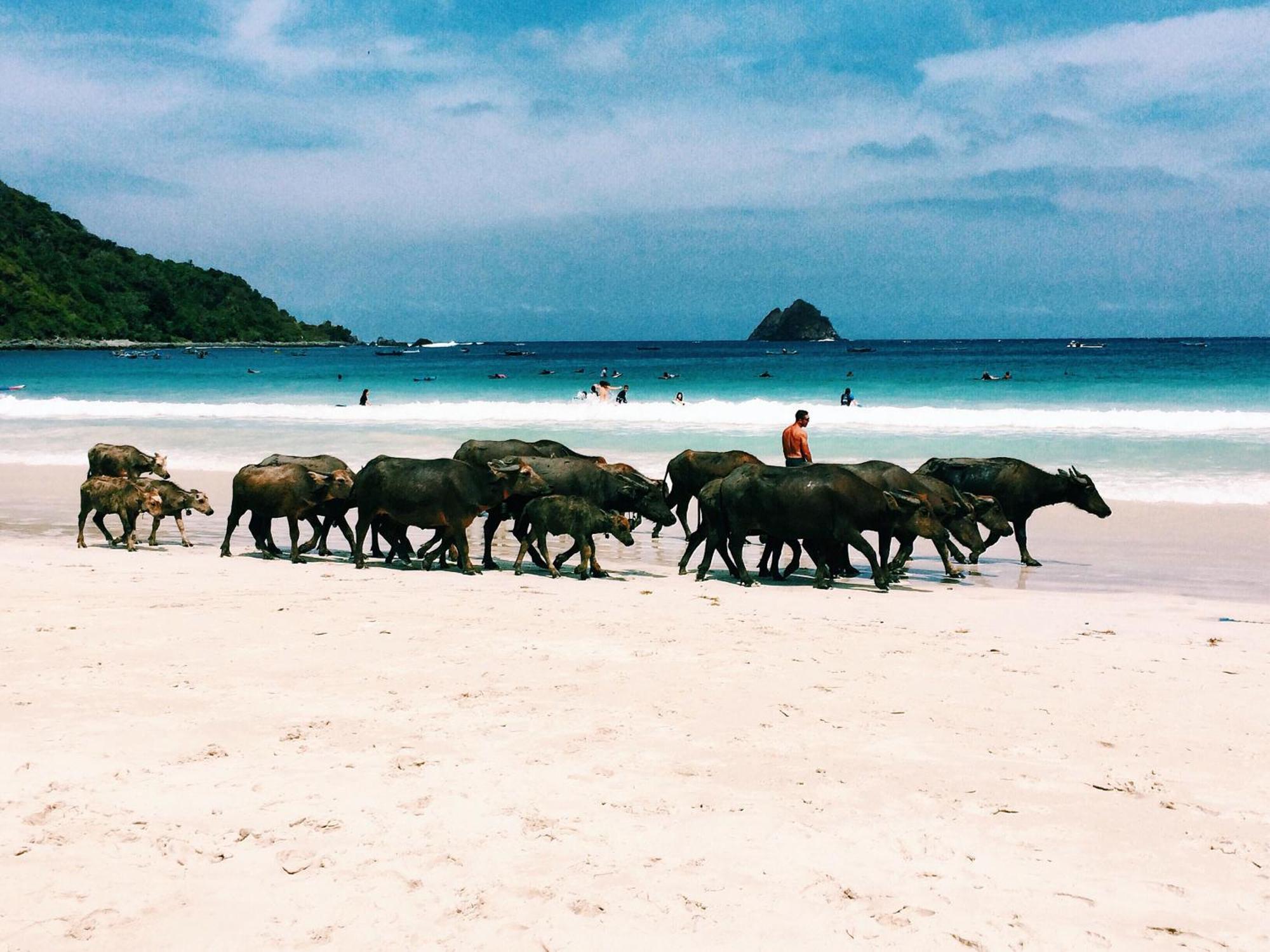 Luana Lombok Hotel Selong Belanak Buitenkant foto